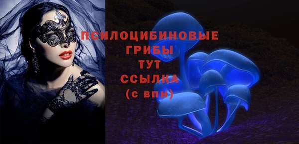 экстази Дмитриев