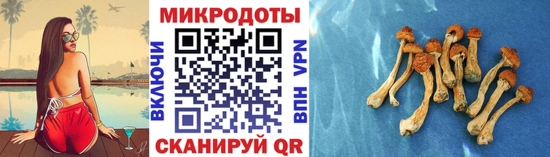 Псилоцибиновые грибы прущие грибы  Добрянка 